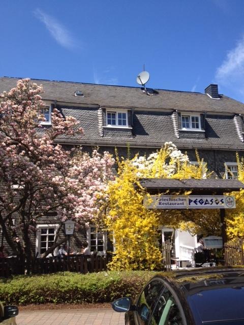 Hotel Friedrich ฮาเคนบวร์ก ภายนอก รูปภาพ
